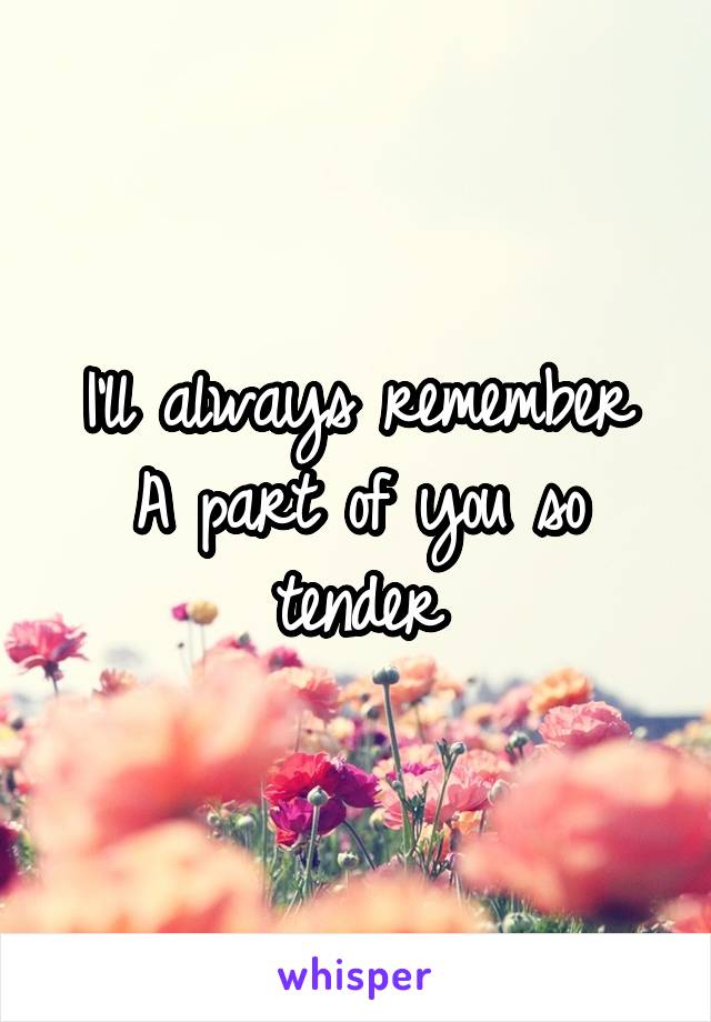 I'll always remember
A part of you so tender