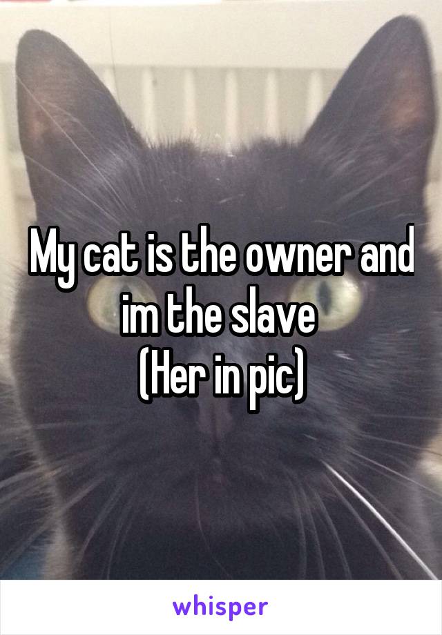 My cat is the owner and im the slave 
(Her in pic)