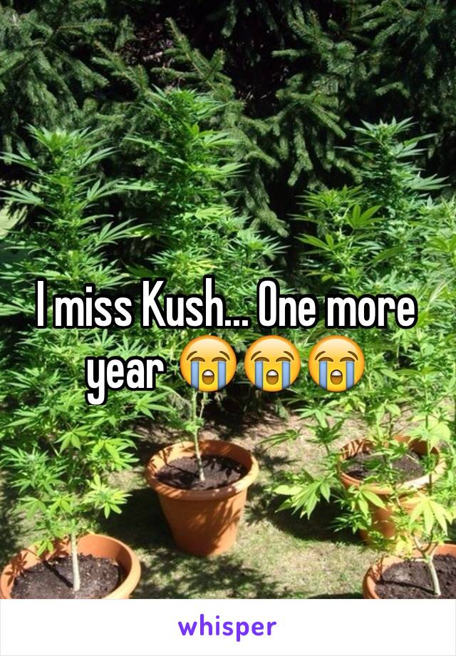 I miss Kush... One more year 😭😭😭