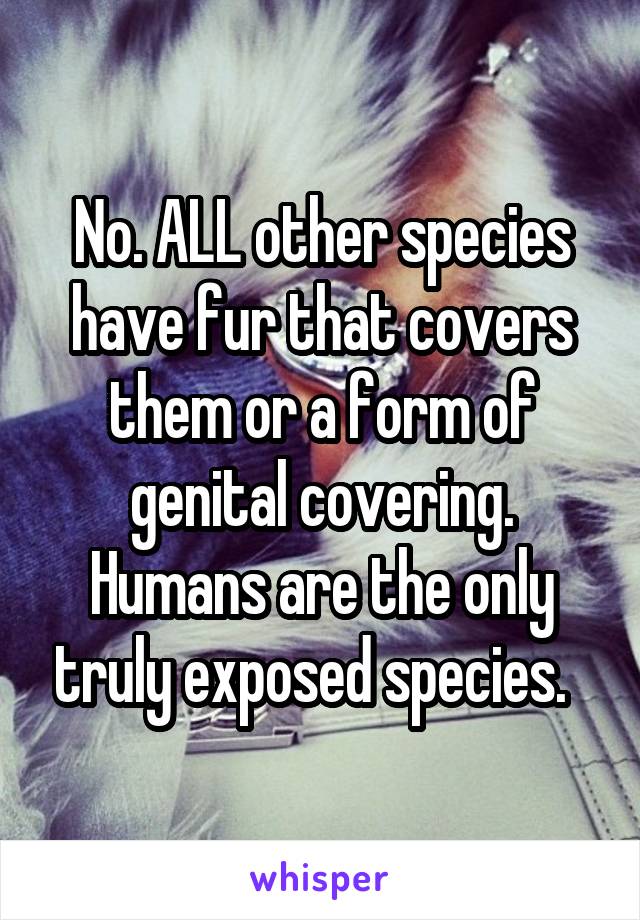 No. ALL other species have fur that covers them or a form of genital covering. Humans are the only truly exposed species.  