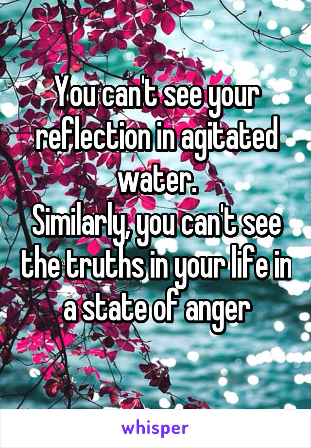 You can't see your reflection in agitated water.
Similarly, you can't see the truths in your life in a state of anger
