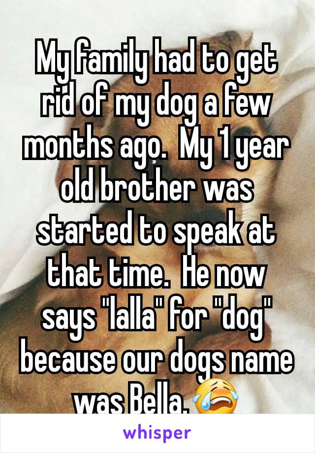 My family had to get rid of my dog a few months ago.  My 1 year old brother was started to speak at that time.  He now says "lalla" for "dog" because our dogs name was Bella.😭