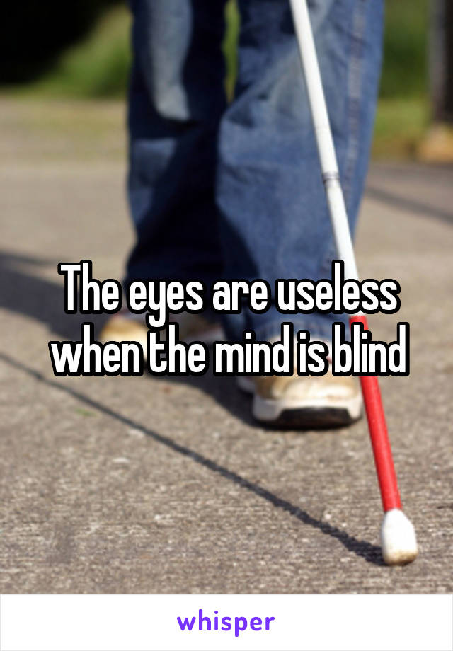 The eyes are useless when the mind is blind