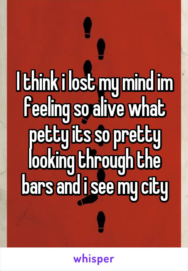 I think i lost my mind im feeling so alive what petty its so pretty looking through the bars and i see my city