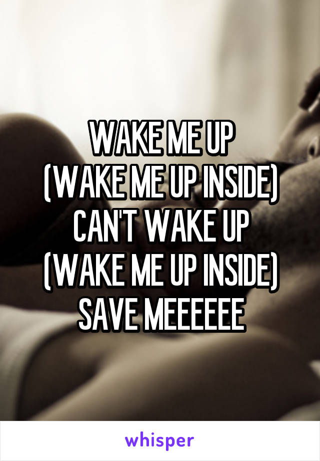 WAKE ME UP
(WAKE ME UP INSIDE)
CAN'T WAKE UP
(WAKE ME UP INSIDE)
SAVE MEEEEEE