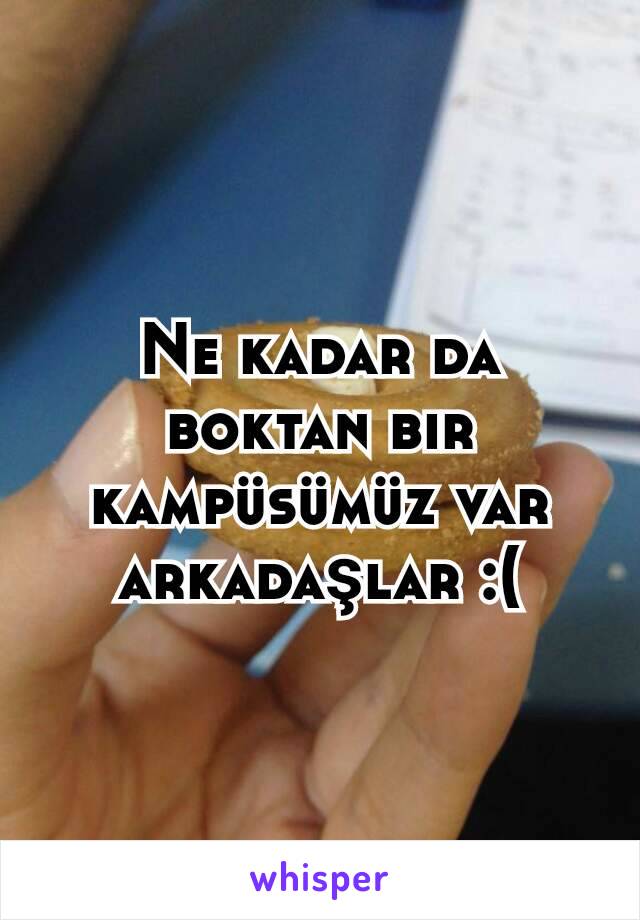 Ne kadar da boktan bir kampüsümüz var arkadaşlar :(