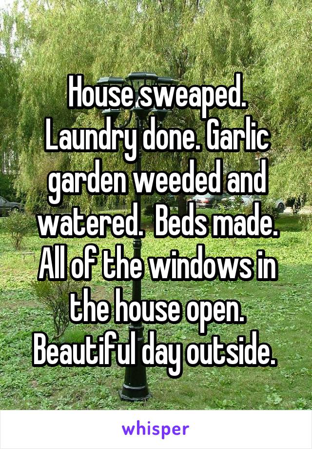 House sweaped. Laundry done. Garlic garden weeded and watered.  Beds made. All of the windows in the house open. Beautiful day outside. 