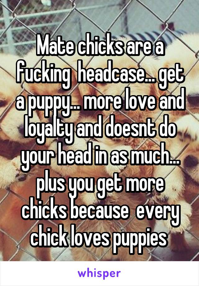 Mate chicks are a fucking  headcase... get a puppy... more love and loyalty and doesnt do your head in as much... plus you get more chicks because  every chick loves puppies 