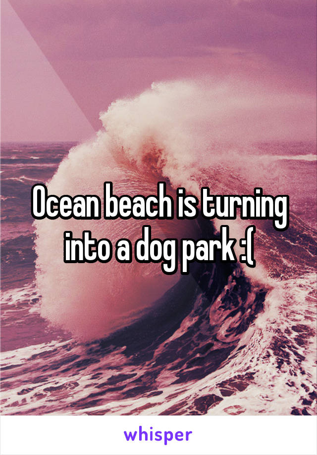 Ocean beach is turning into a dog park :(