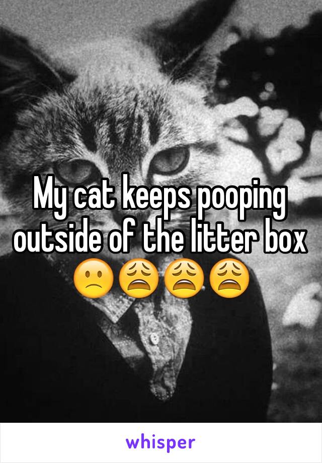 My cat keeps pooping outside of the litter box  🙁😩😩😩