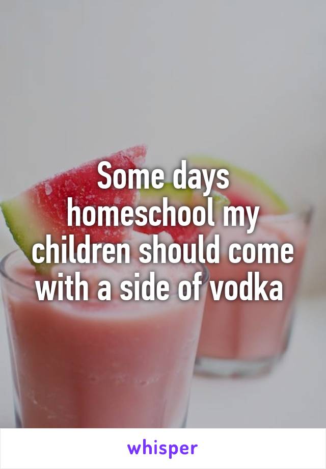 Some days homeschool my children should come with a side of vodka 