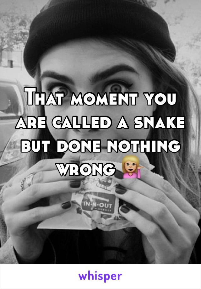 That moment you are called a snake but done nothing wrong 💁🏼