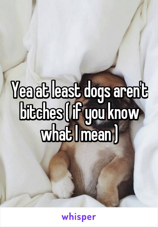 Yea at least dogs aren't bitches ( if you know what I mean )