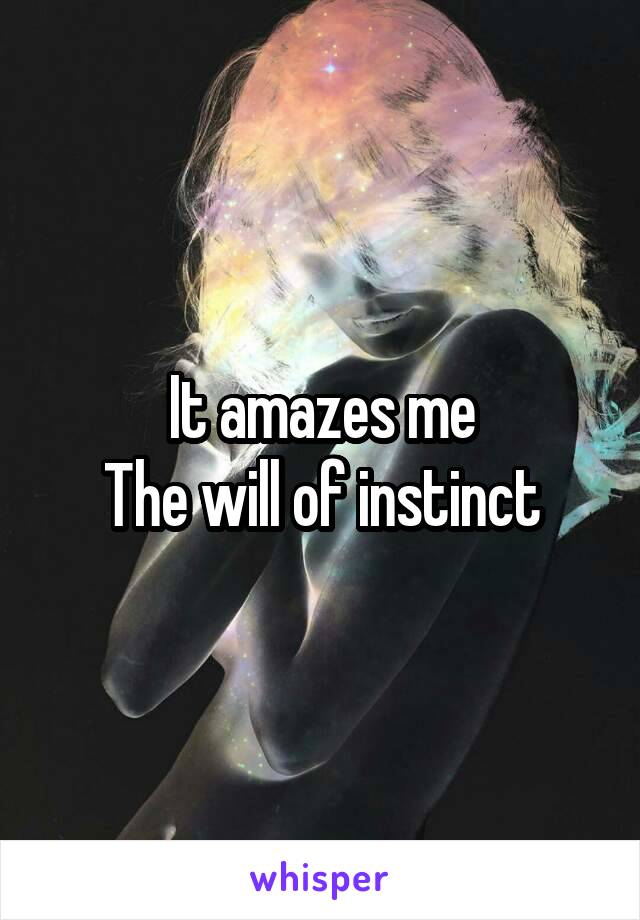 It amazes me
The will of instinct