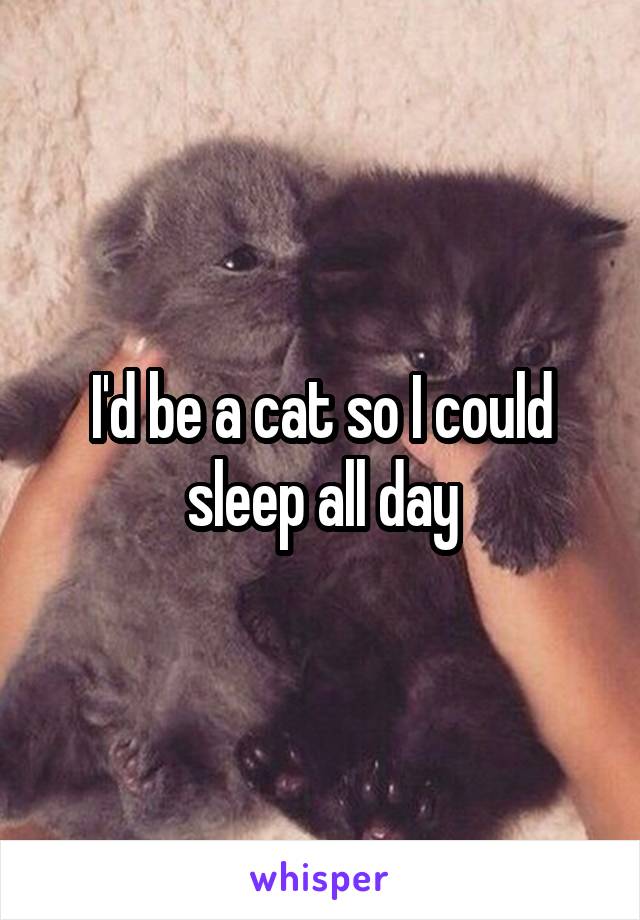 I'd be a cat so I could sleep all day