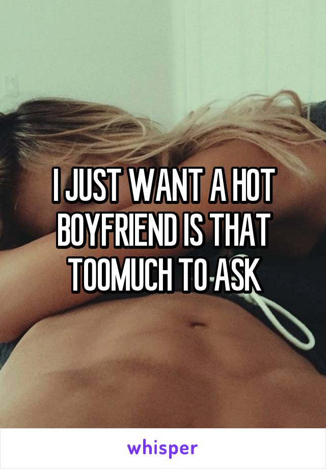 I JUST WANT A HOT BOYFRIEND IS THAT TOOMUCH TO ASK