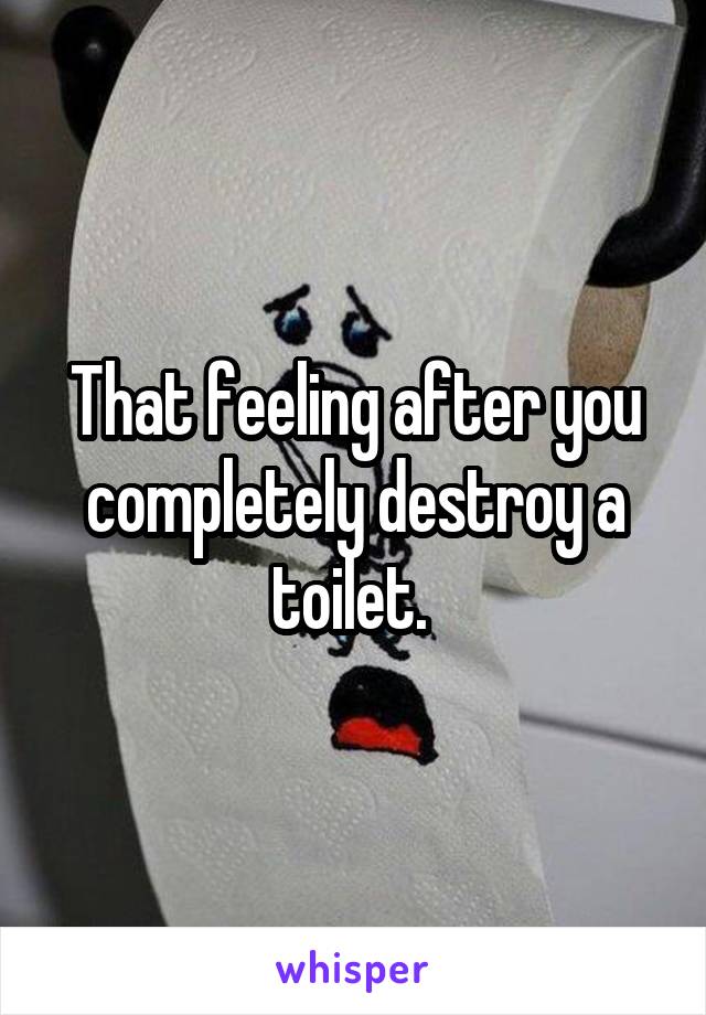 That feeling after you completely destroy a toilet. 