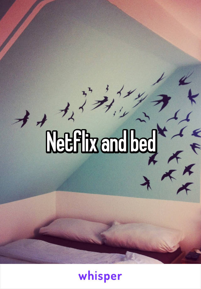 Netflix and bed