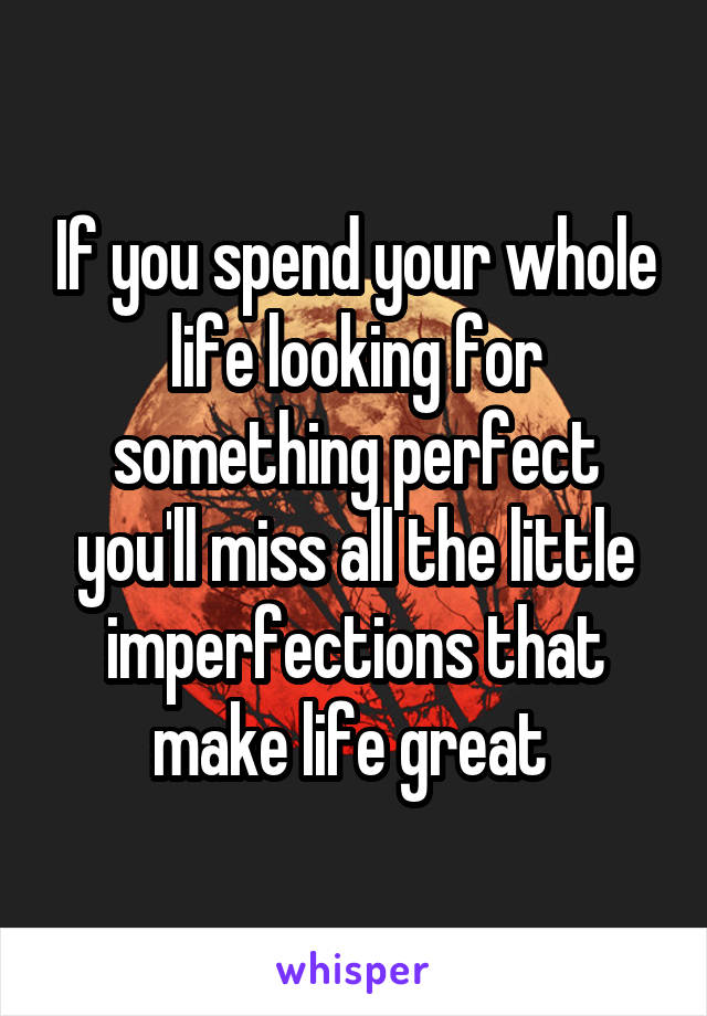 If you spend your whole life looking for something perfect you'll miss all the little imperfections that make life great 