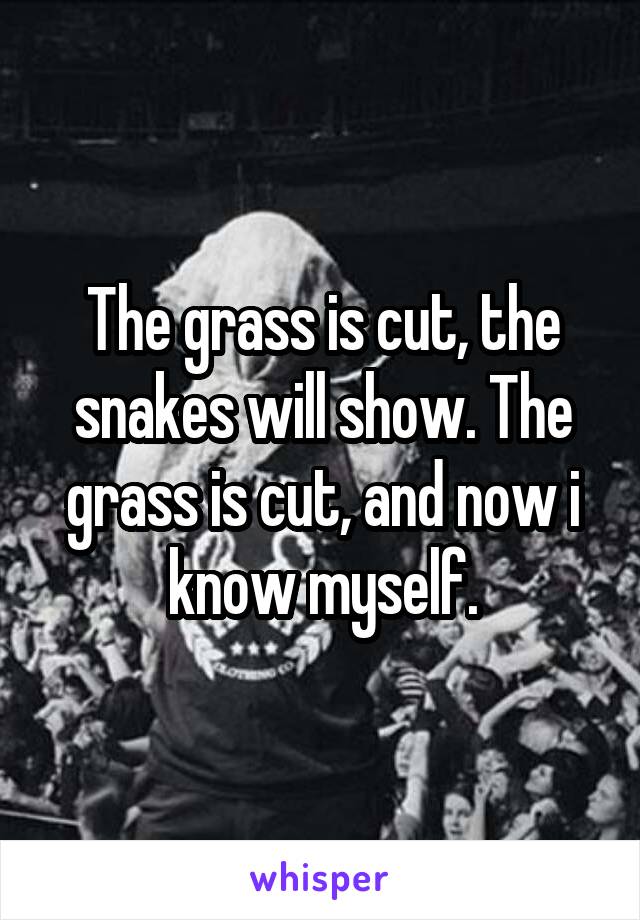 The grass is cut, the snakes will show. The grass is cut, and now i know myself.