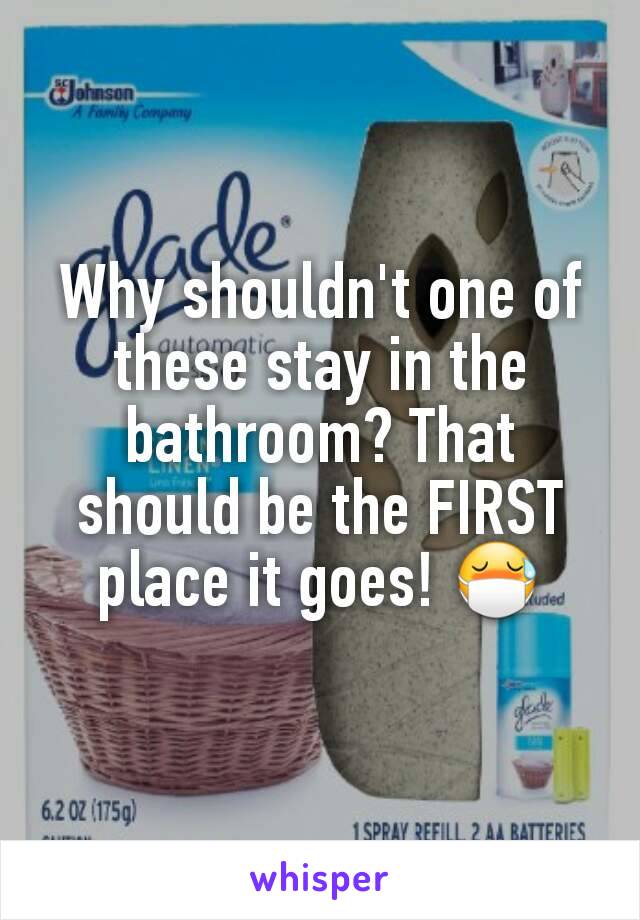 Why shouldn't one of these stay in the bathroom? That should be the FIRST place it goes! 😷