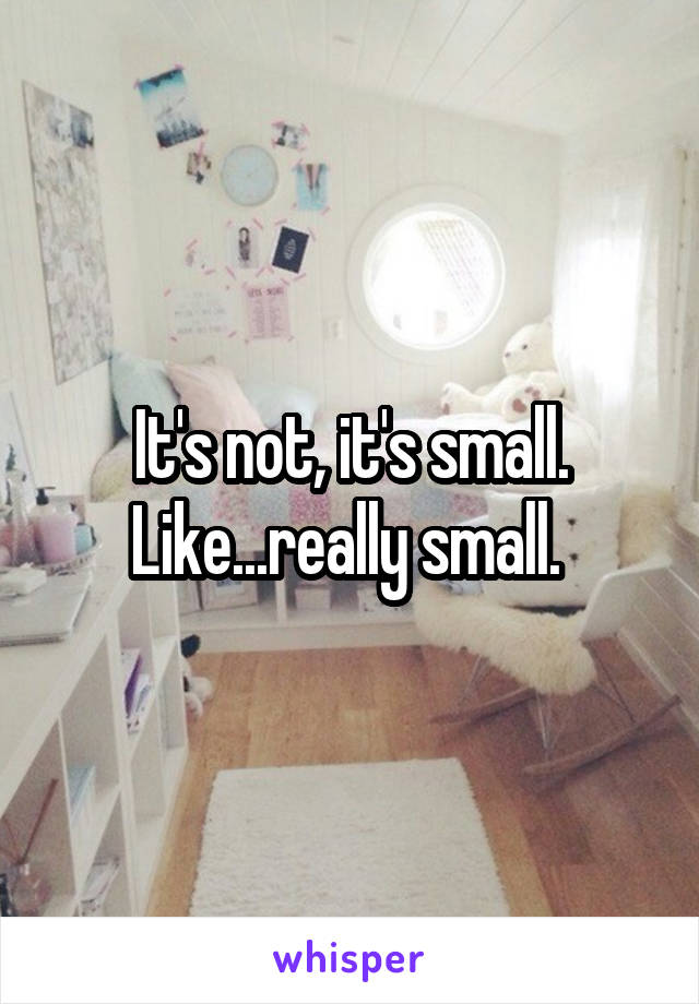 It's not, it's small. Like...really small. 