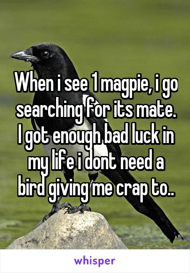 When i see 1 magpie, i go searching for its mate. I got enough bad luck in my life i dont need a bird giving me crap to..