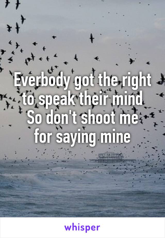 Everbody got the right to speak their mind
So don't shoot me
for saying mine
