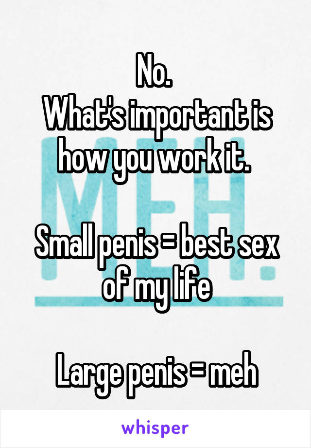 No. 
What's important is how you work it. 

Small penis = best sex of my life

Large penis = meh