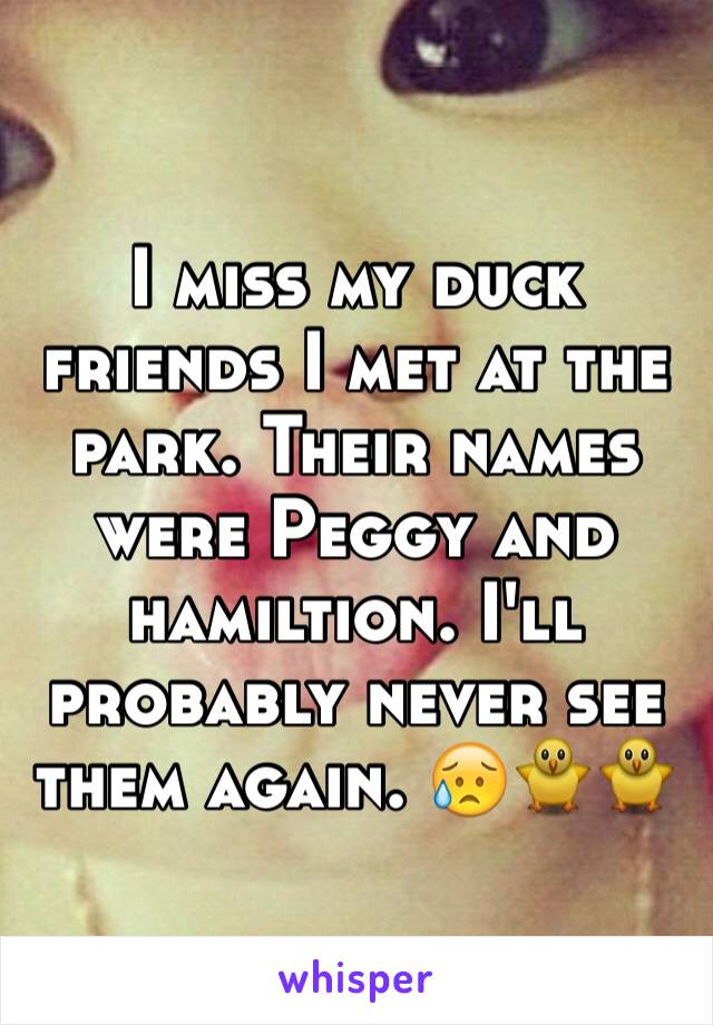 I miss my duck friends I met at the park. Their names were Peggy and hamiltion. I'll probably never see them again. 😥🐥🐥