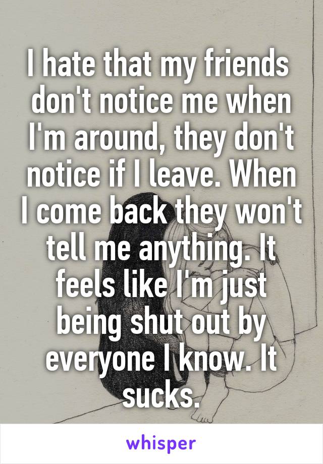 I hate that my friends  don't notice me when I'm around, they don't notice if I leave. When I come back they won't tell me anything. It feels like I'm just being shut out by everyone I know. It sucks.