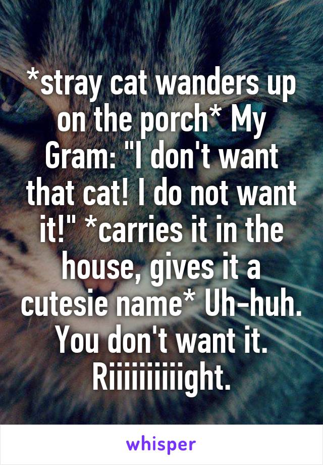 *stray cat wanders up on the porch* My Gram: "I don't want that cat! I do not want it!" *carries it in the house, gives it a cutesie name* Uh-huh. You don't want it. Riiiiiiiiiight.