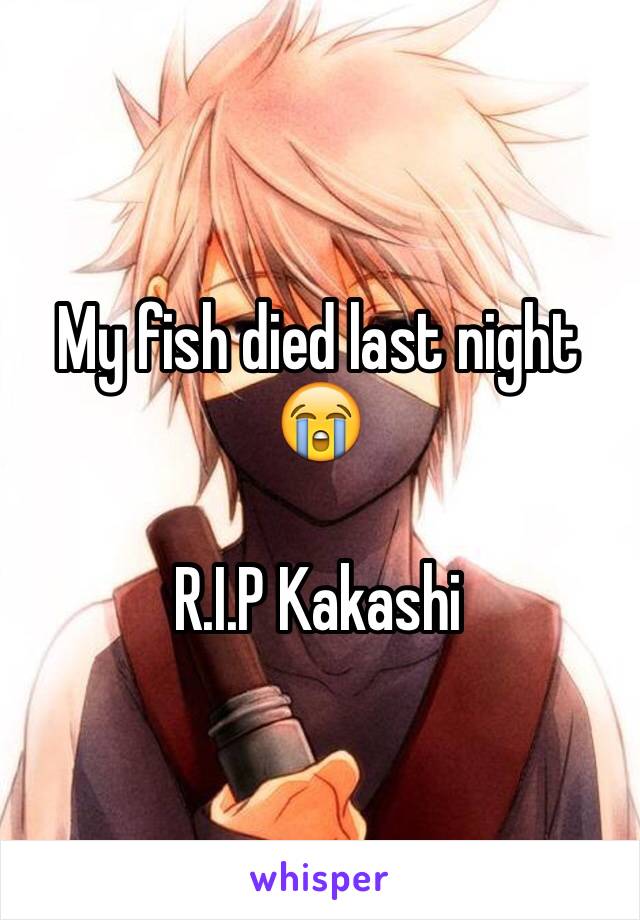 My fish died last night 😭

R.I.P Kakashi