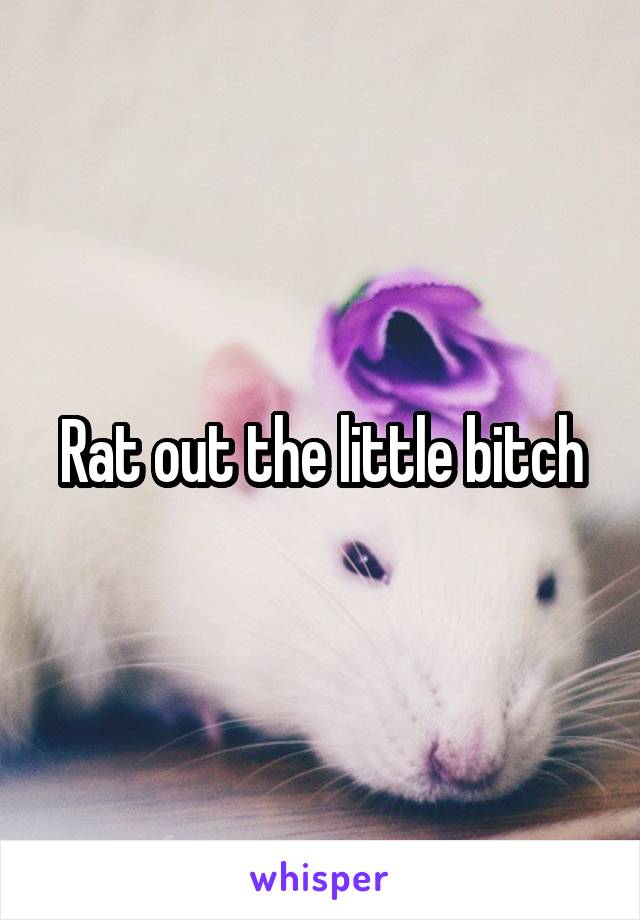 Rat out the little bitch