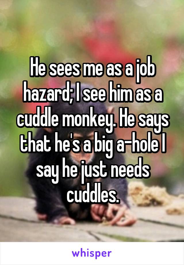 He sees me as a job hazard; I see him as a cuddle monkey. He says that he's a big a-hole I say he just needs cuddles.