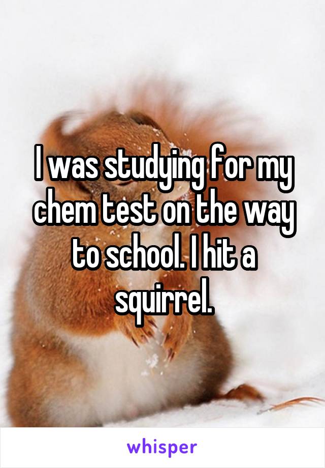 I was studying for my chem test on the way to school. I hit a squirrel.