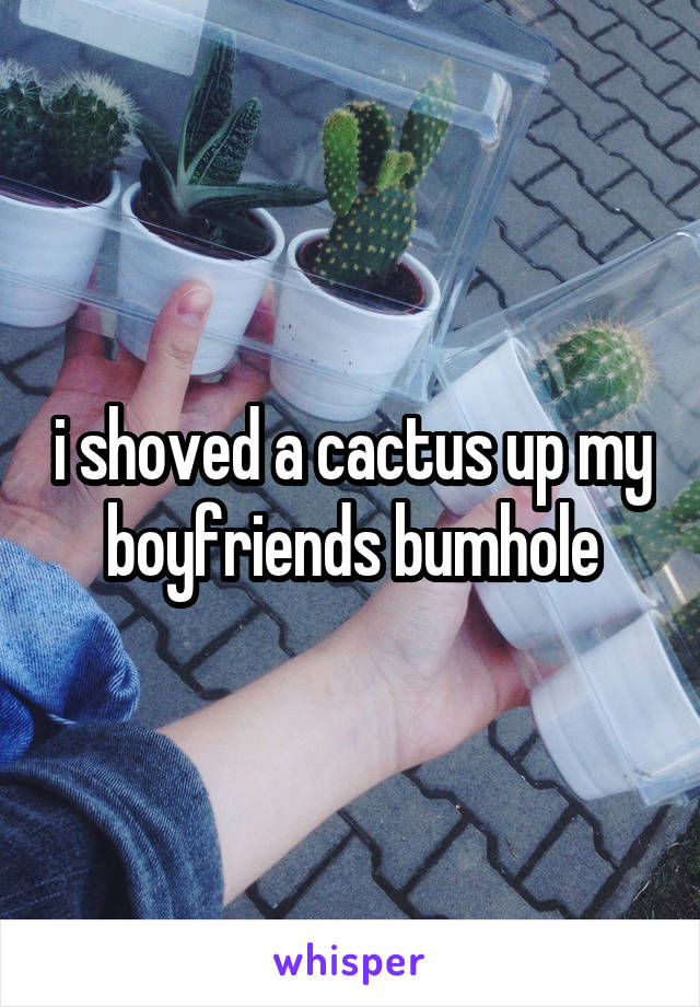 i shoved a cactus up my boyfriends bumhole