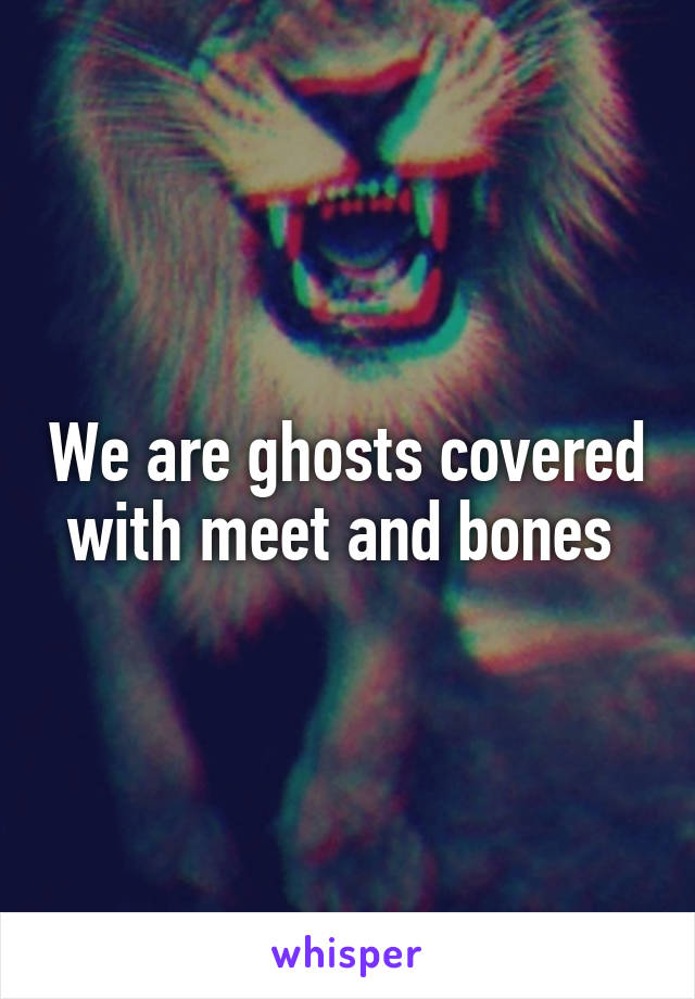 We are ghosts covered with meet and bones 