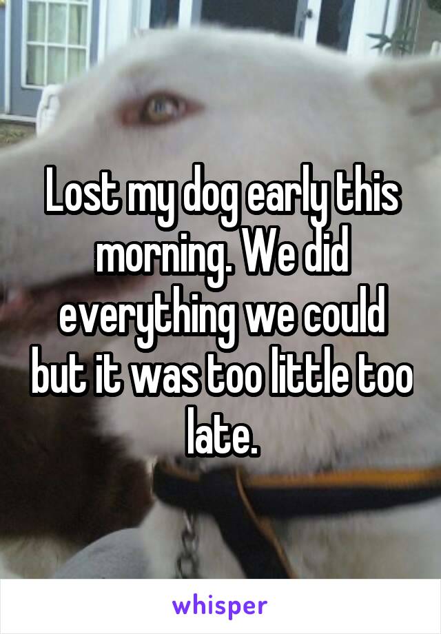 Lost my dog early this morning. We did everything we could but it was too little too late.