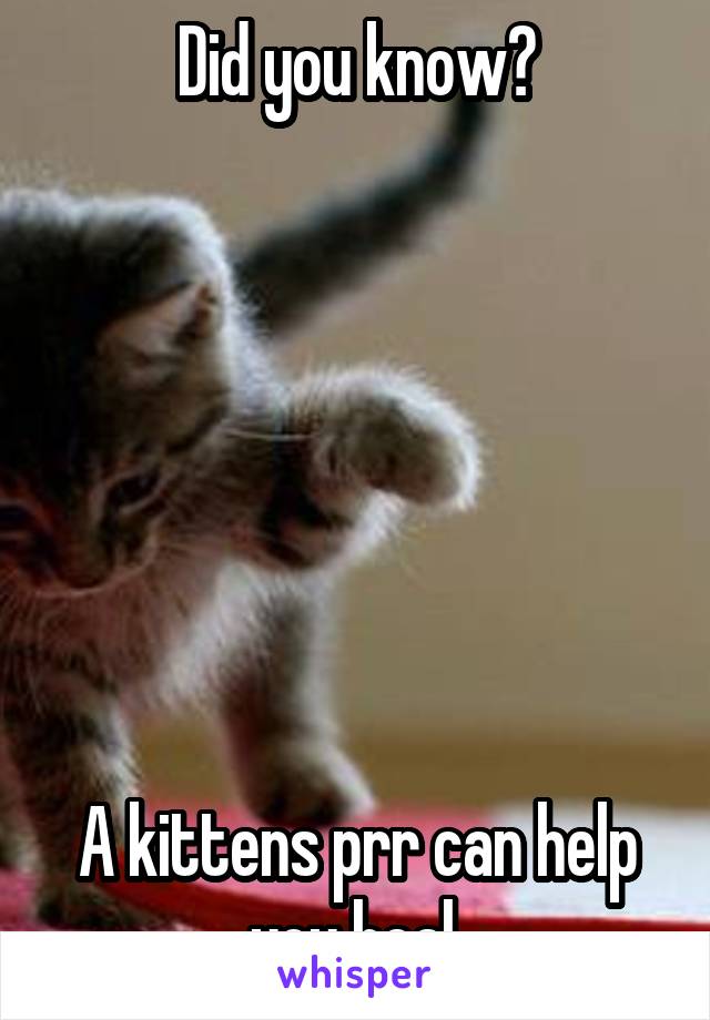 Did you know?







A kittens prr can help you heal.