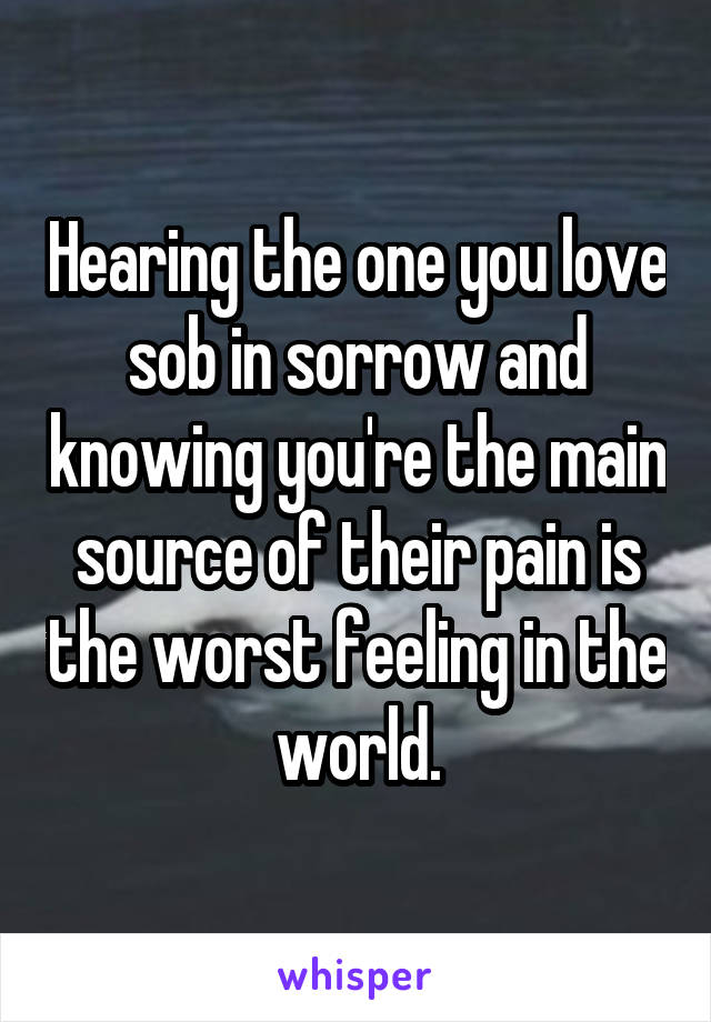 Hearing the one you love sob in sorrow and knowing you're the main source of their pain is the worst feeling in the world.