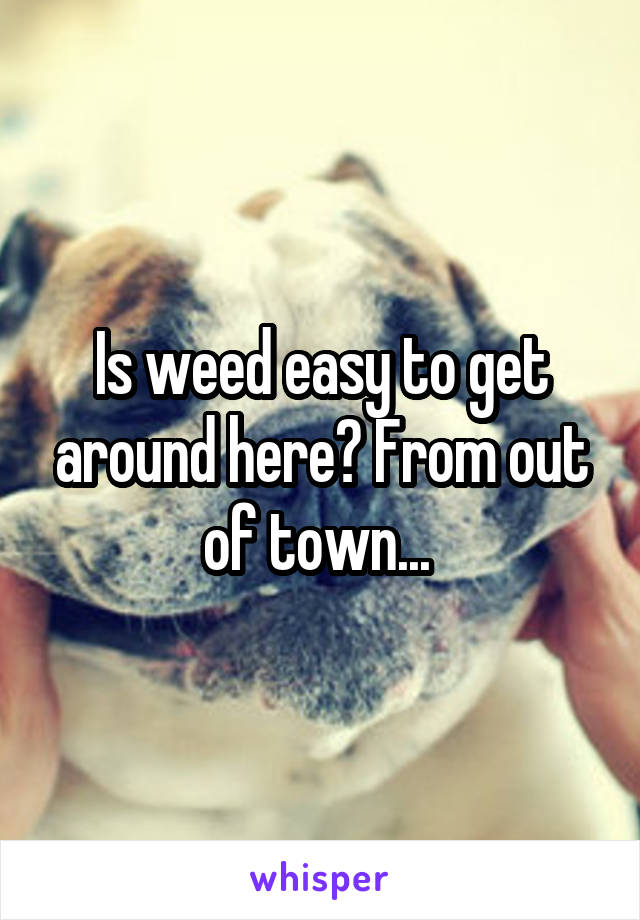 Is weed easy to get around here? From out of town... 