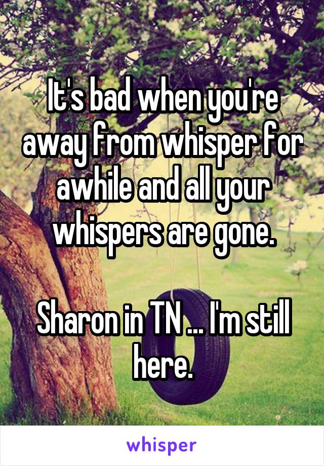 It's bad when you're away from whisper for awhile and all your whispers are gone.

Sharon in TN ... I'm still here.