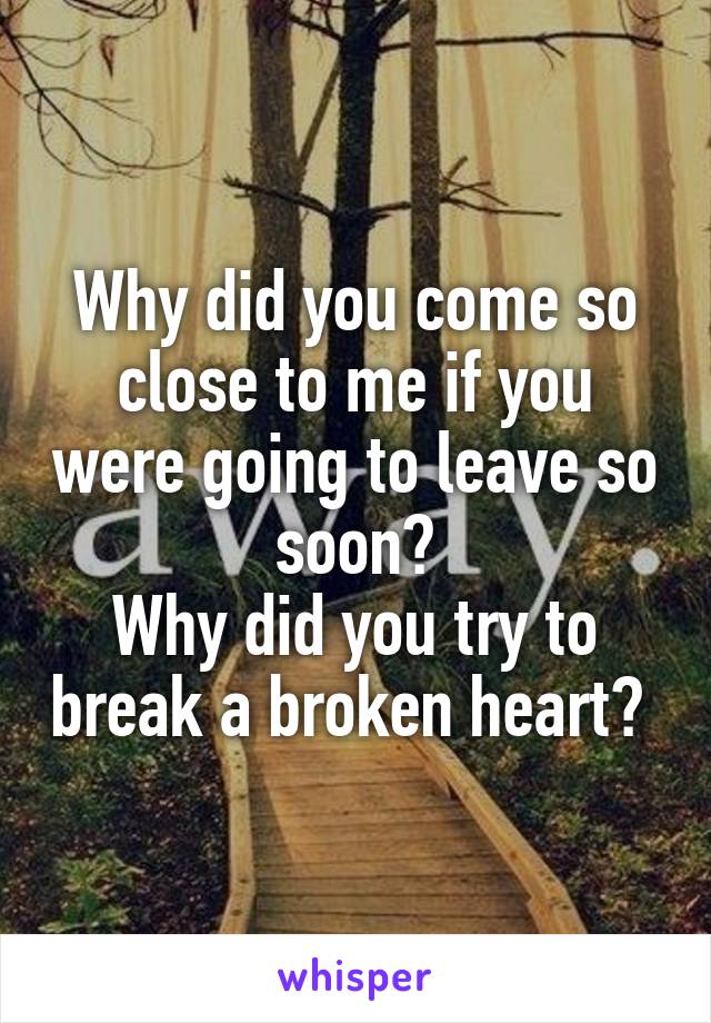 Why did you come so close to me if you were going to leave so soon?
Why did you try to break a broken heart? 