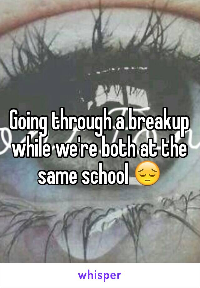 Going through a breakup while we're both at the same school 😔