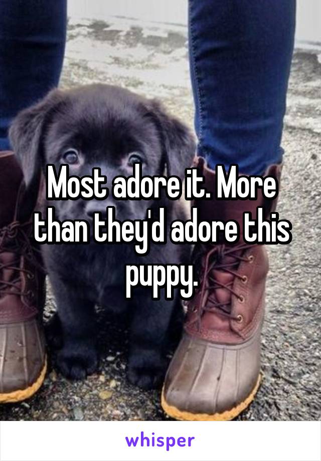 Most adore it. More than they'd adore this puppy.