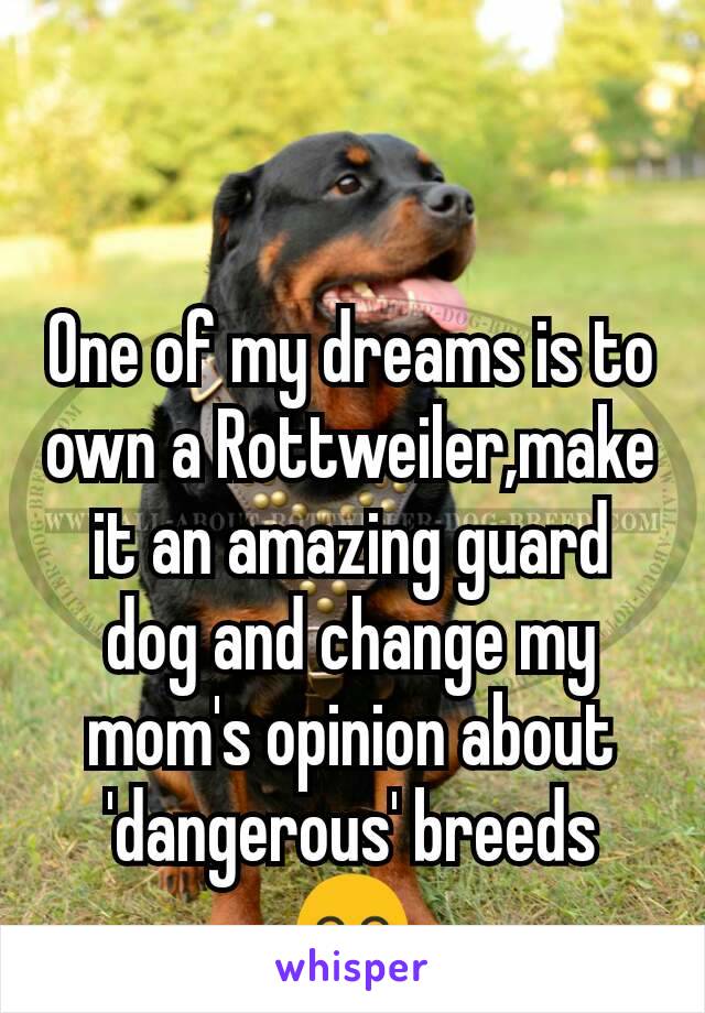 One of my dreams is to own a Rottweiler,make it an amazing guard dog and change my mom's opinion about 'dangerous' breeds 😊