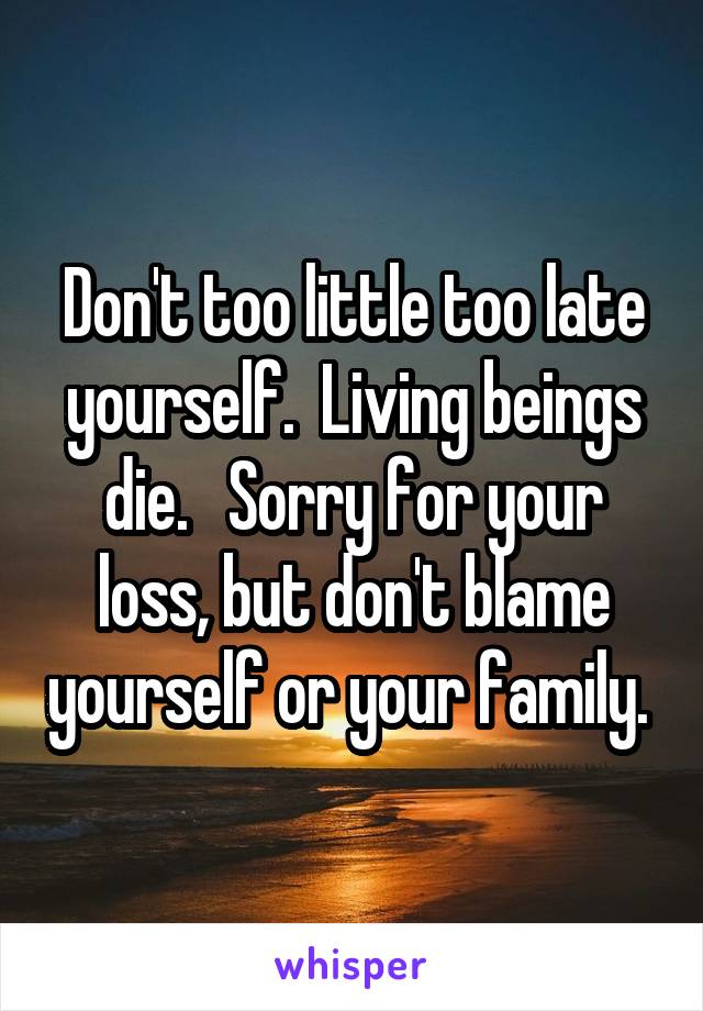 Don't too little too late yourself.  Living beings die.   Sorry for your loss, but don't blame yourself or your family. 