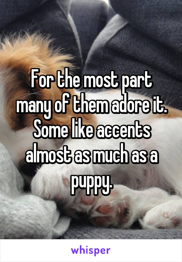 For the most part many of them adore it. Some like accents almost as much as a puppy.