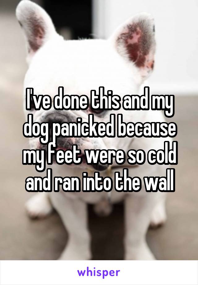 I've done this and my dog panicked because my feet were so cold and ran into the wall